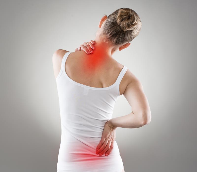 chiropractic services Royal Oak, MI
